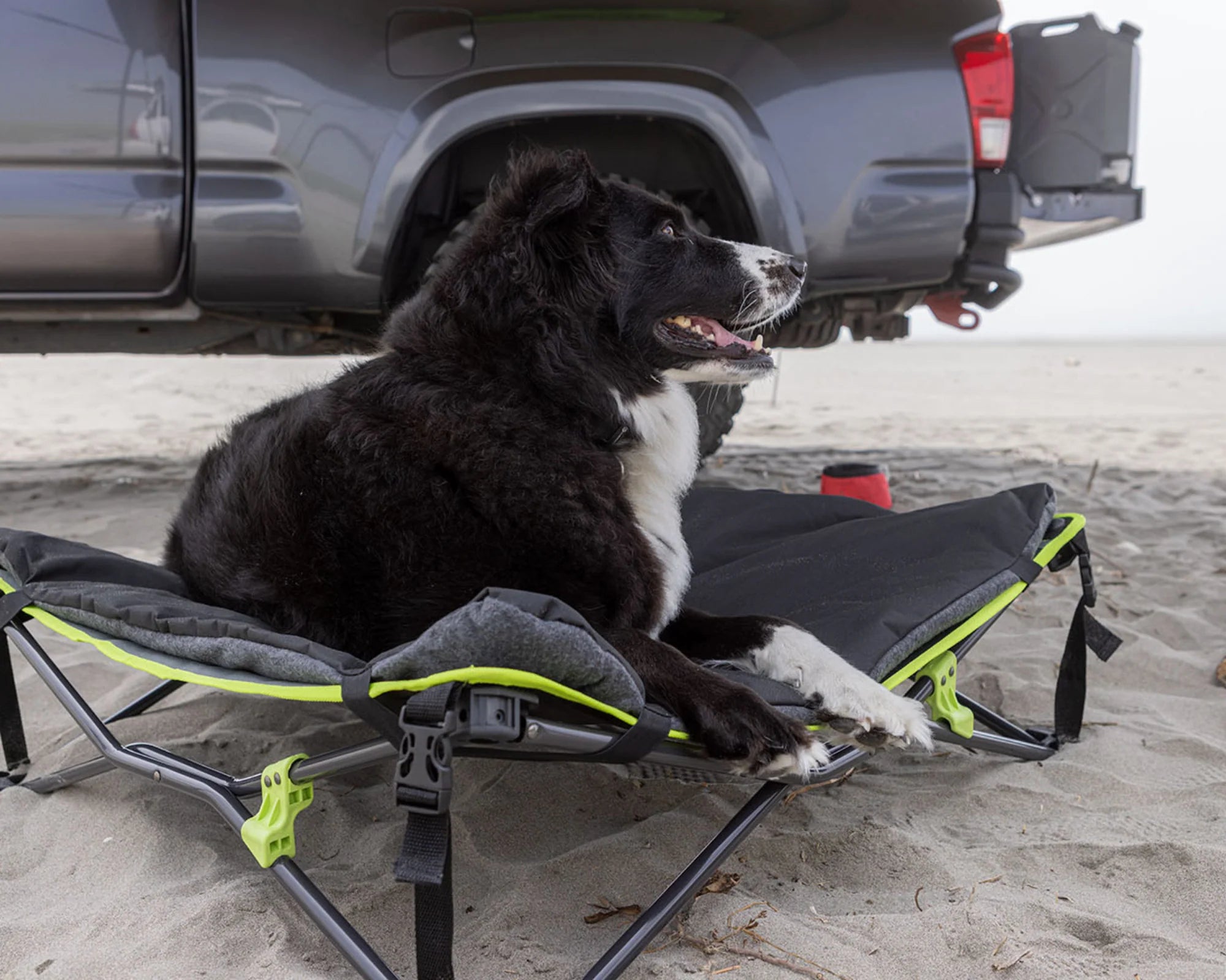 Iron Man - Quick Fold Dog Bed with Padded Mat