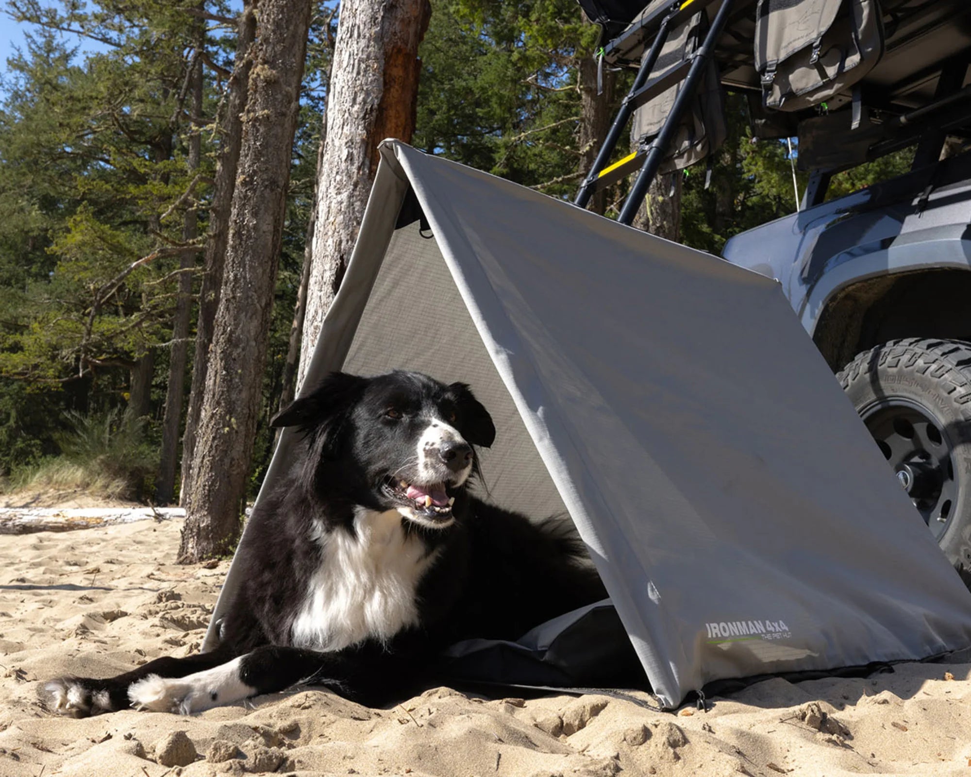 Iron Man - The Pet Hut | Dog Swag Tent