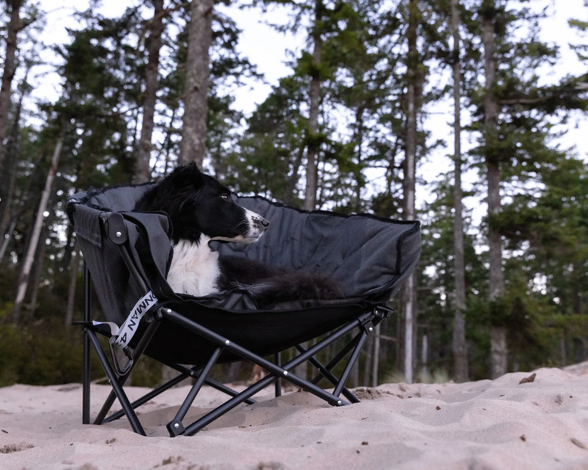 Iron Man - The Pet Lounger | Quick Fold Dog Camp Chair