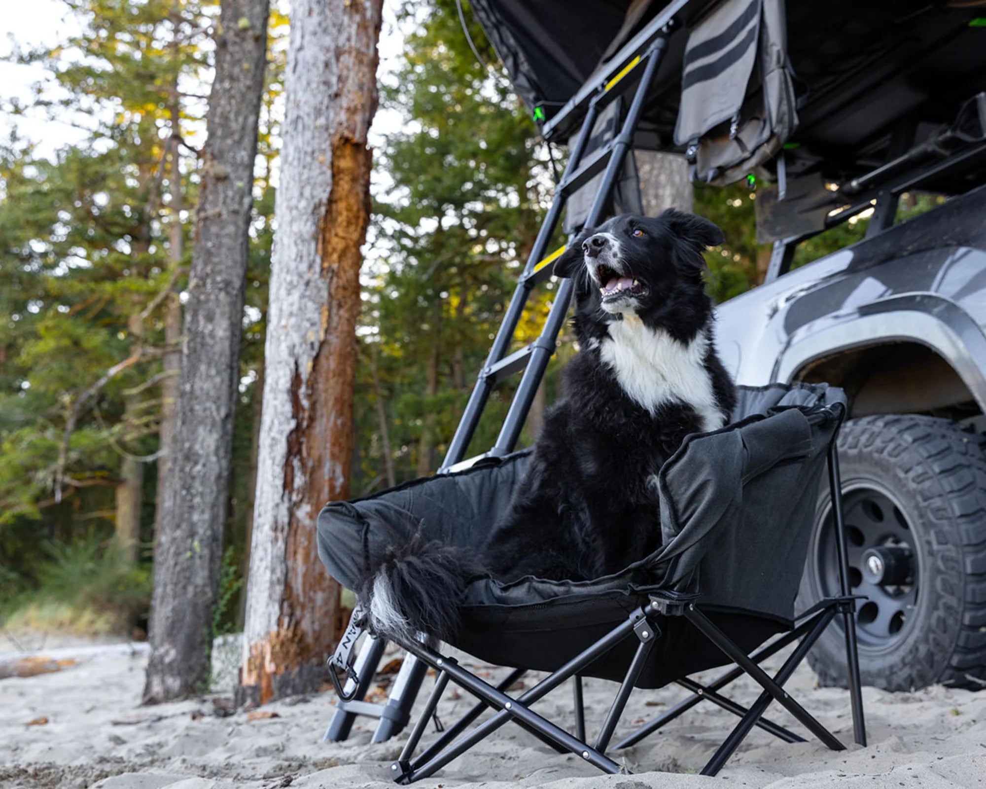 Iron Man - The Pet Lounger | Quick Fold Dog Camp Chair